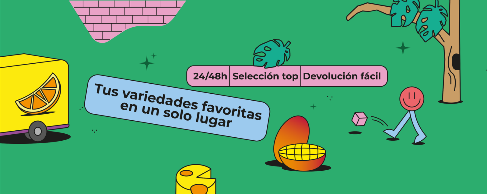 North Spices, tienda online de CBD con productos de calidad y entrega rápida